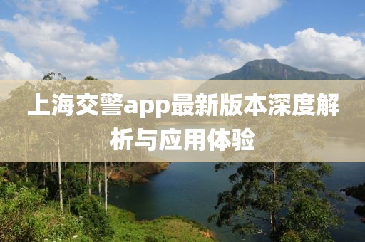 上海交警app最新版本深度解析与应用体验