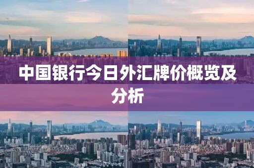 中国银行今日外汇牌价概览及分析