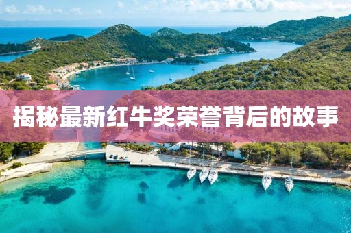 揭秘最新红牛奖荣誉背后的故事