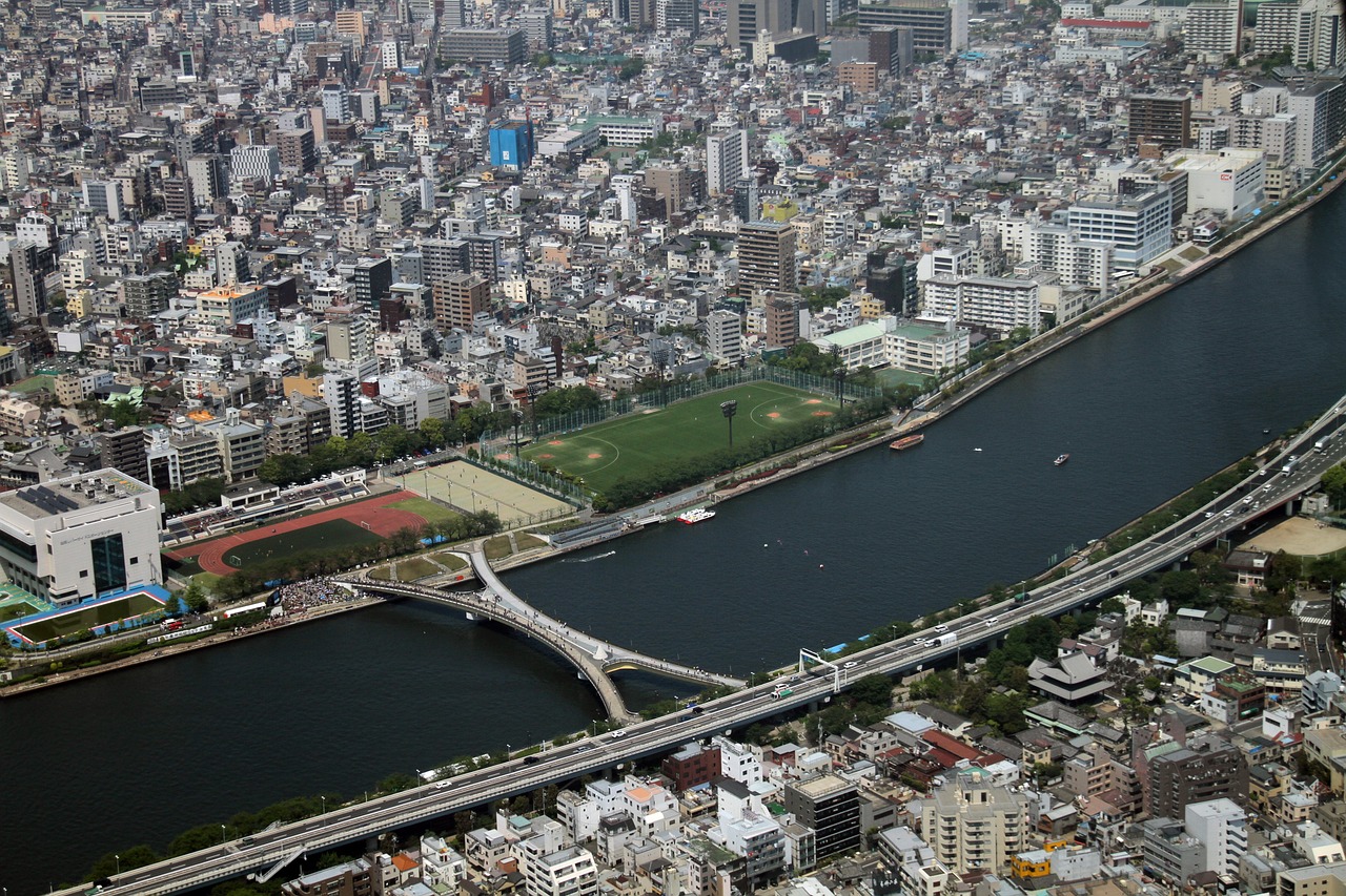 林州市二手房最新信息概览，最新房源、价格及交易动态一网打尽