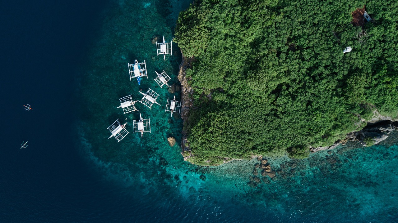 探索与乐趣的海洋之旅，钩鱼最新视频揭秘！
