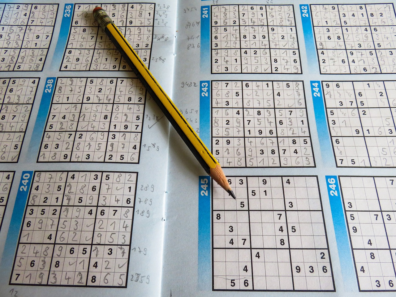 2024正版资料免费看，全身心解答具体_性能版ZM7497.4919