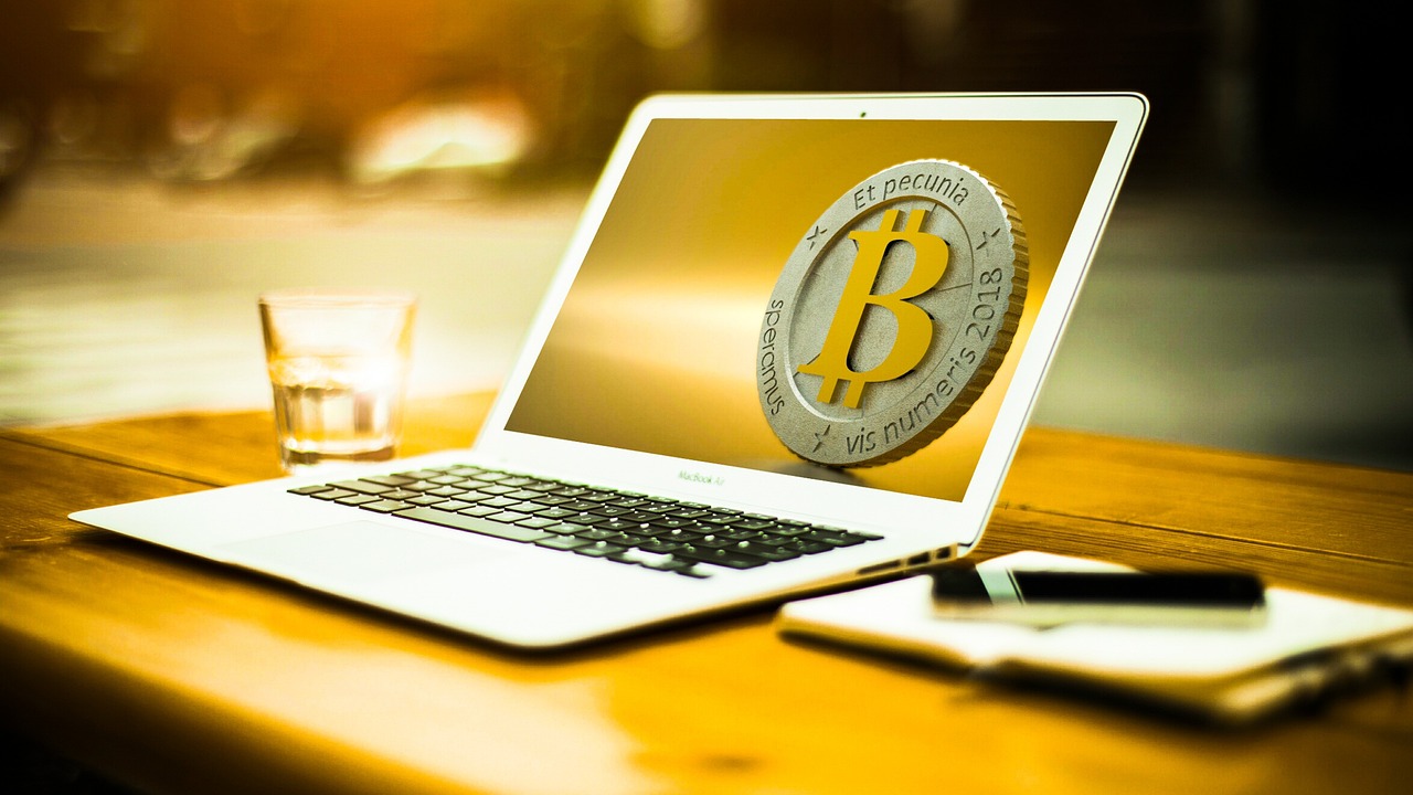 废材最新网址探索，启示与发现
