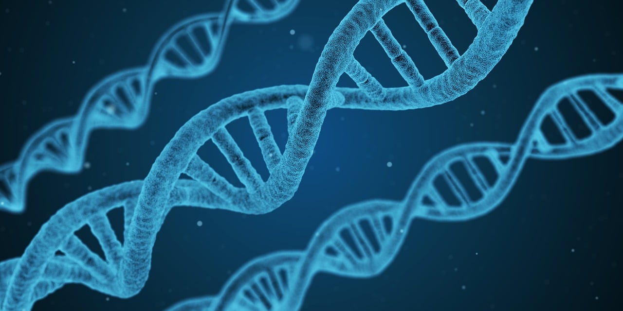 最新异常感染研究、防治策略与最新进展概述